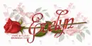 EVELYN RedRose