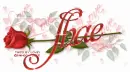 SHAE RedRose