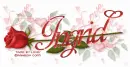 INGRID RedRose