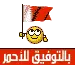 flag of bahrain
