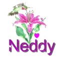 neddy