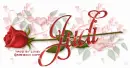 JUDI RedRose