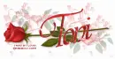 TONI RedRose