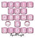 april for obama & biden pink