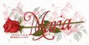 MARIA RedRose