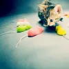 Kitten Fighten Off Teh Mousies