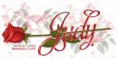 JUDY RedRose