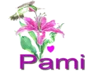 pami