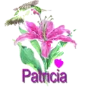 patricia