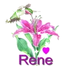 rene