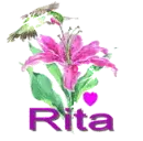 rita