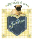 Pug hugs to you Jo Ann