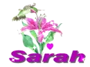 sarah