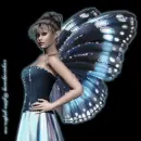 Fairy
