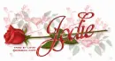 JODIE RedRose