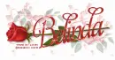BELINDA RedRose