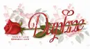 DAPHNE RedRose