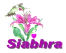 siabhra