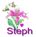 steph