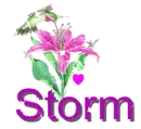 storm