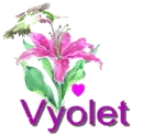 vyolet