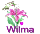wilma