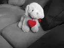 teddy love is strong