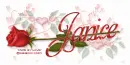 JANICE RedRose