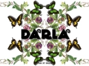 Darla