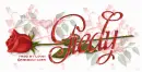 GIEDY RedRose