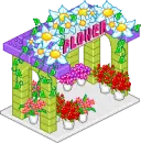 Flowers Nature