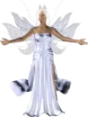 Fairy 