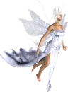 Fairy 