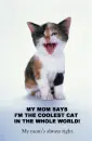cute cat