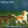 follow the leader