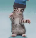 lol