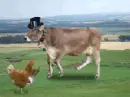 lol