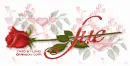 SUE RedRose