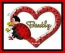 Ladybug - Bently
