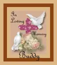 In Loving Memory - Buddy - fg
