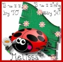Buzzing by to say hi - Melissa