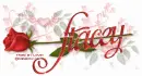 STACEY RedRose