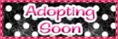 Adopting Soon