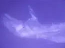 God's Hand