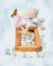 shells