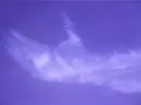 God's Hand