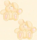 Pastel Yellow Easter Bunnies  Background