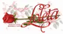 LOLETA RedRose