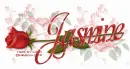 JASMINE RedRose
