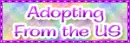 Adopting from the US